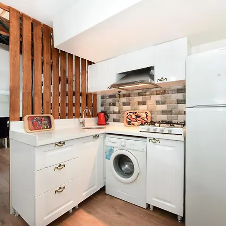 Apartment Historical Wood Dublex At Taksim&galata *