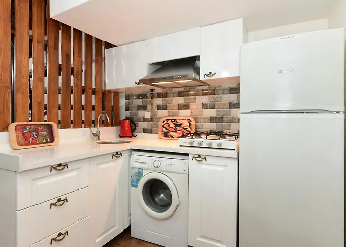 Historical Wood Dublex At Taksim&galata Апартаменты *