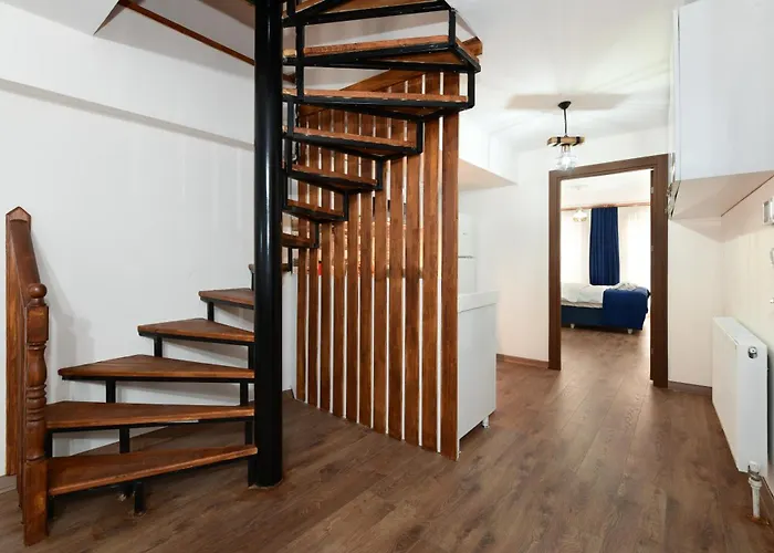 Historical Wood Dublex At Taksim&galata *