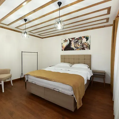 Historical Wood Dublex At Taksim&galata Apartman *
