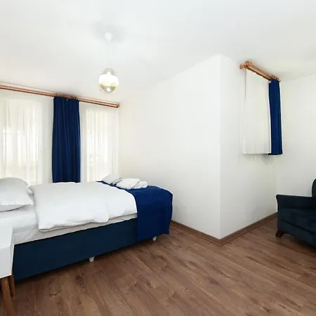 Historical Wood Dublex At Taksim&galata Apartman
